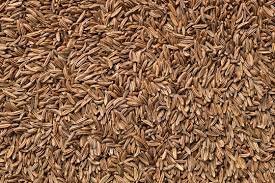 Cumin seeds